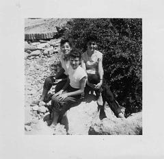 oran gambetta plage des genets